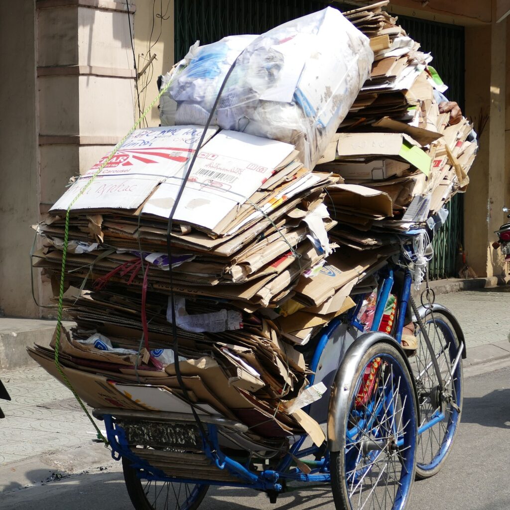 Cardboard
